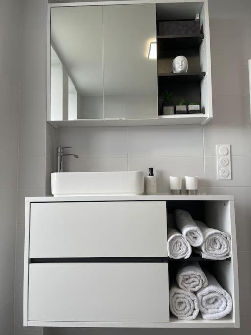 Appartement T3 En Centre-Ville De Thonon-Les-Bains Zewnętrze zdjęcie