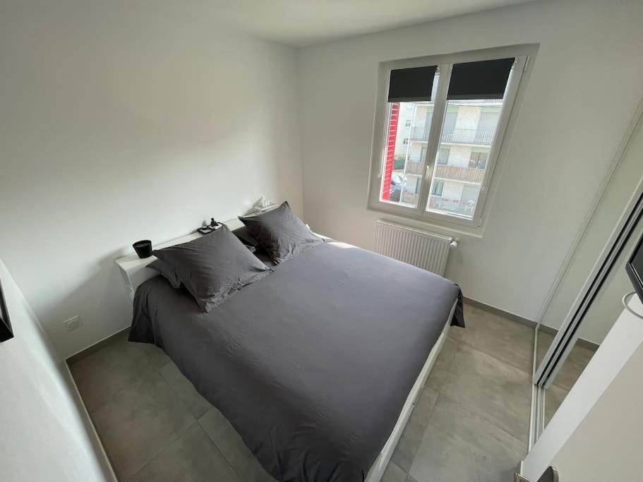 Appartement T3 En Centre-Ville De Thonon-Les-Bains Zewnętrze zdjęcie